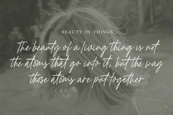 Golden Hopes Script Font for Web Design