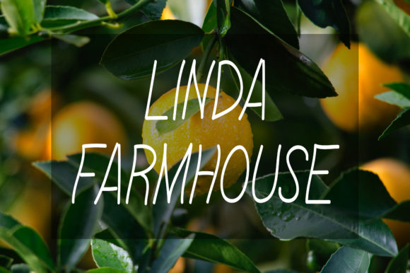 Linda Farmhouse Font for Web Design Projects