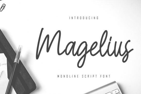 Magelius Font for Web Design: A Delicate Touch in Digital Branding