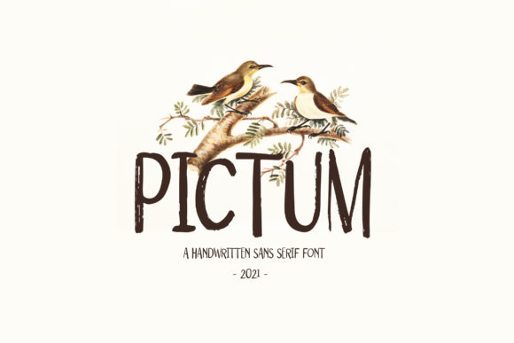 Pictum: A Quirky Display Font for Modern Editorial Design
