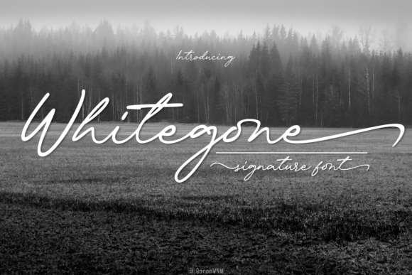 Whitegone: A Timeless Handwritten Font for Web Design
